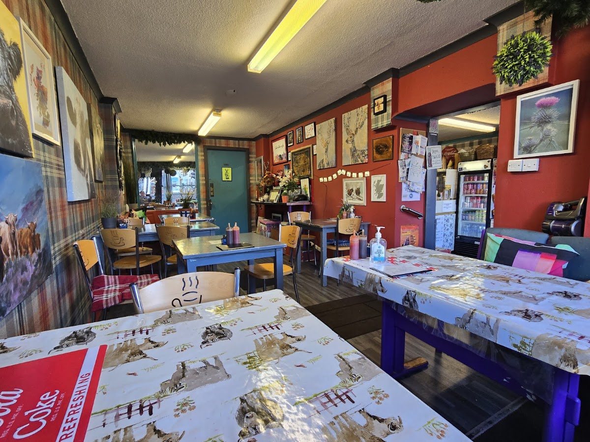 Inside CJ's: tartan wallpaper and red walls hung with paintings of Highland cows and a thistle, tables covered in Highland-cow oilcloth, and the counter at the back.